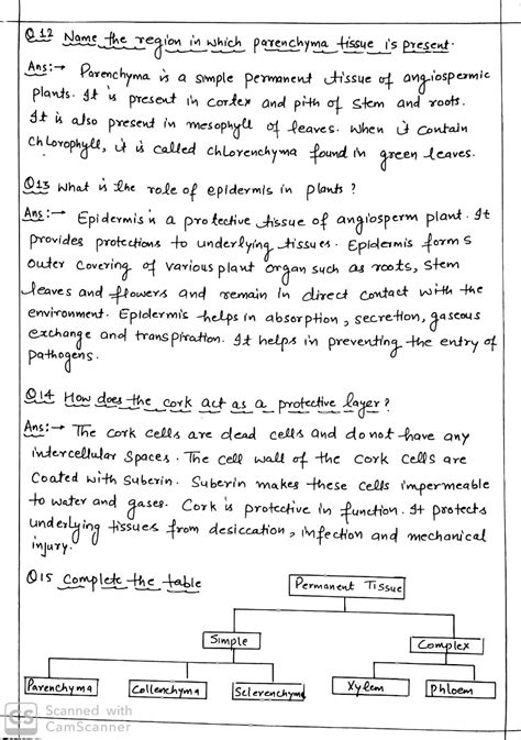 Classnotes Class 9 Biology Handwritten Notes Porn Sex Picture