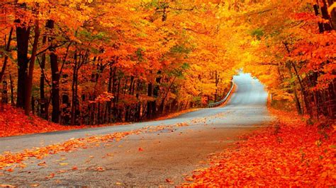 100 Hd Autumn Wallpapers