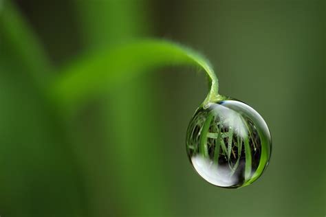 Damn Cool Pictures Water Droplet Reflections