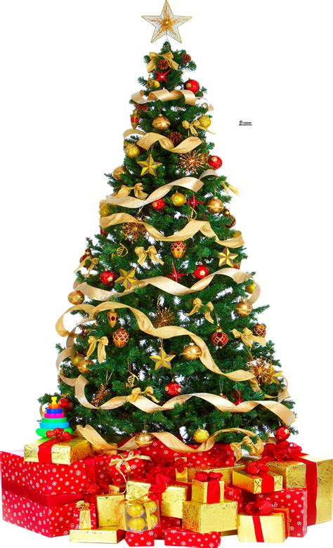 Choose from 19000+ christmas tree graphic resources and download in the form of png, eps, ai or psd. Christmas Tree PNG Free Download | PNG Mart