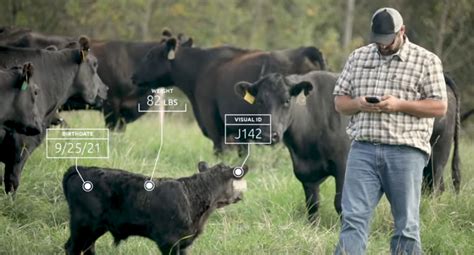 Friday Feature Simplify Cow Calf Herd Records With Performance Ranch