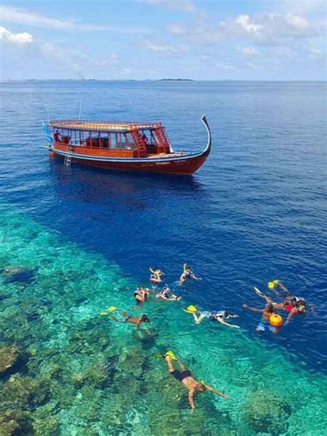 Snorkeling Maldives Croisière Aux Maldives Sous Locean