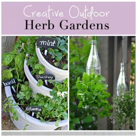 Planting Unique And Creative Herb Gardens Home And Garden