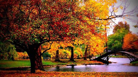 Colorful Autumn Trees Pond Desktop Bridge Above Water Hd Autumn Desktop