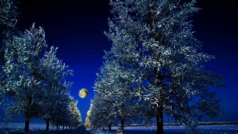 Full Moon Winter Night Hd Wallpaper Background Image
