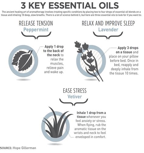 Infographic 3 Essential Oils You Need Newbeauty