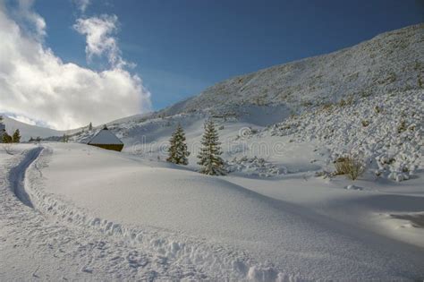Panorama Mountain Winter Landscape Stock Photo Image Of Panorama