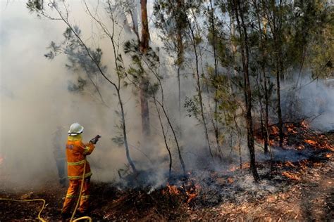 Kebakaran hutan di australia ini lebih besar dibandingkan kebakaran di brasil, california dan indonesia digabungkan. Mungkinkah Asap Kebakaran Hutan Australia Menyebar ke ...