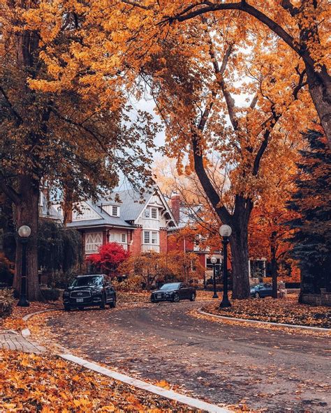 Autumn Neighbourhoods 🍂🍂🍂 Pretty Places Beautiful Places Foto 