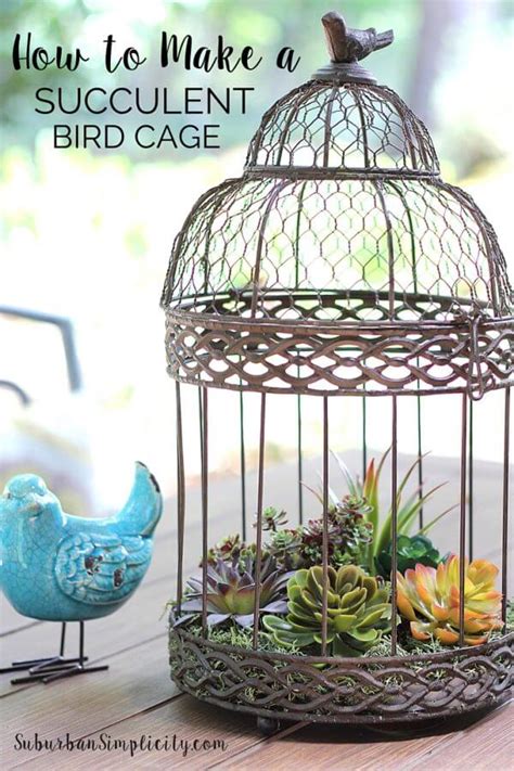 25 Best Decoration Ideas With Birdcage Planters In 2023
