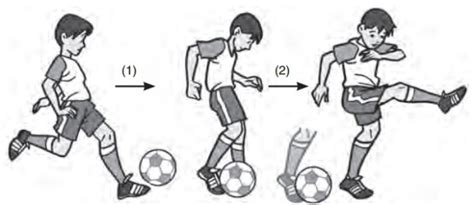 Pengertian Sepak Bola Sejarah Tujuan Teknik Dan Peraturan