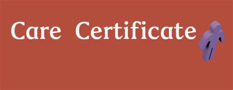 Care Certificate Standard 02 Your Personal Development E Learning