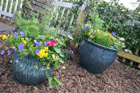 Container Gardening With Kids Expert Advice On How To