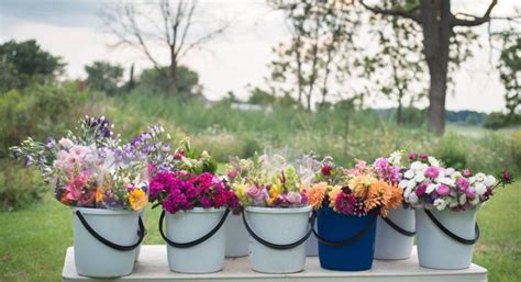 Baby showers, weddings, receptions, parties, tailgates…there is no end to the events you can use our grower's choice buckets of flowers for. Cut-Flower Harvesting & Post-Harvest Care | Best Practices ...