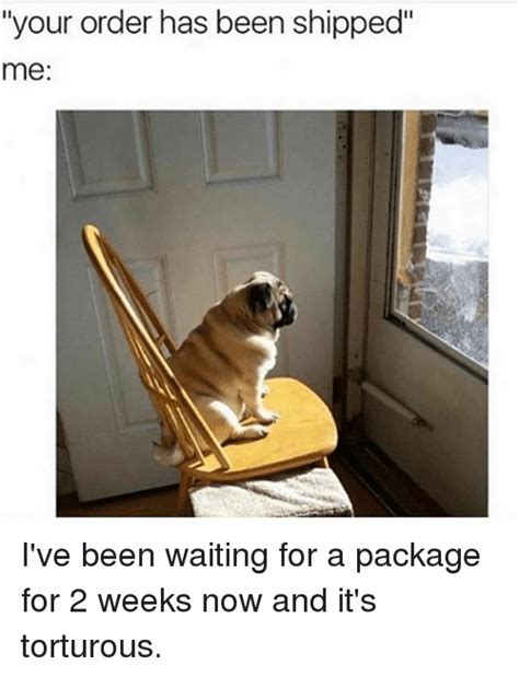 Waiting For Package Meme Captions More