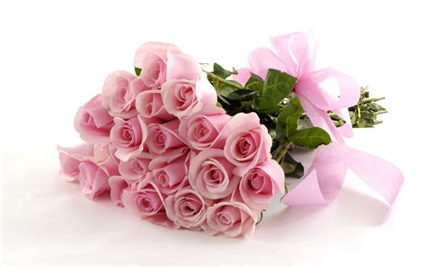 Pink Roses Free Wallpaper Wallpaper High Definition High Quality