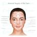 Facial Anatomy Bundle Botox Filler Injector Anatomy Esthetician