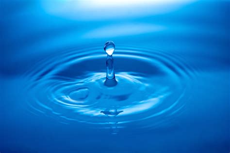 Free Images Droplet Liquid Water Drop Wave Petal Wet Reflection