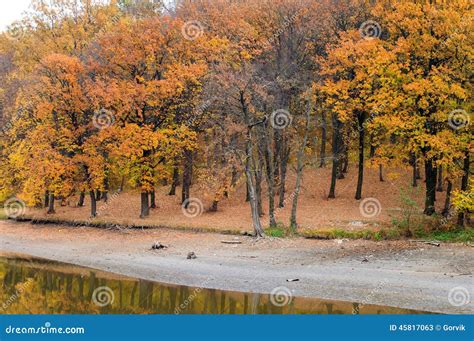 Landscape Lake With Crystal Clear Water Stock Image Image Of Open