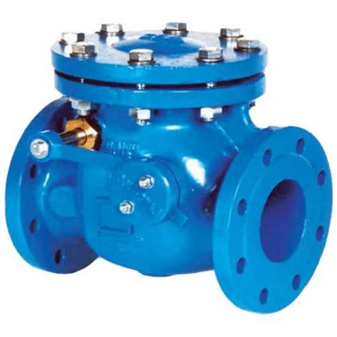 Stainless Steel Non Return Valve Rs 3000 Perfect Flow Engineers Id