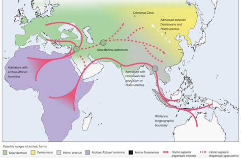 Map Of Human Migration Timeline