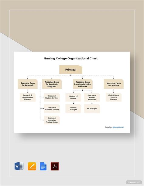 Nursing College Organizational Chart Template In Pdf Word Pages