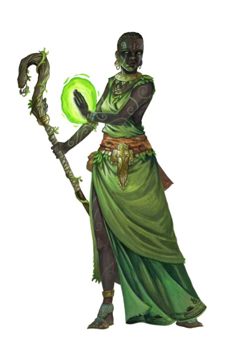 Female Black Human Druid Or Shaman Pathfinder Pfrpg Dnd Dandd D20
