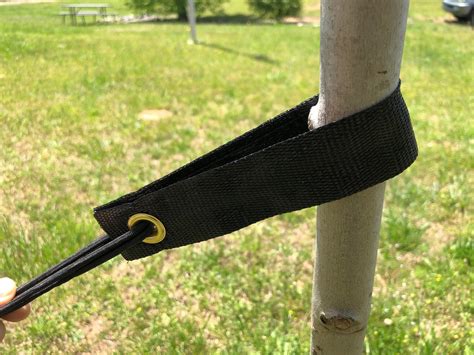 Tree Straps Pack Of 6 1 38 By 24 For Securing Trees Free Shipping