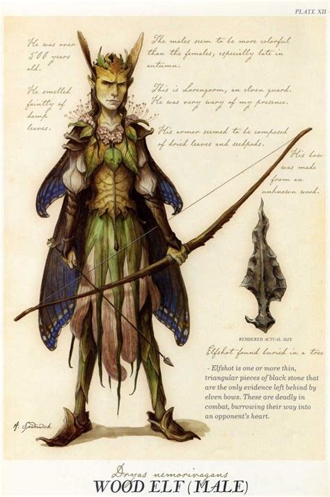 Wood Elf Male From Arthur Spiderwicks Field Guide To The