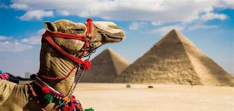 ما أهم أنواع السياحة في مصر مميز جدا للبحث موجز مصر