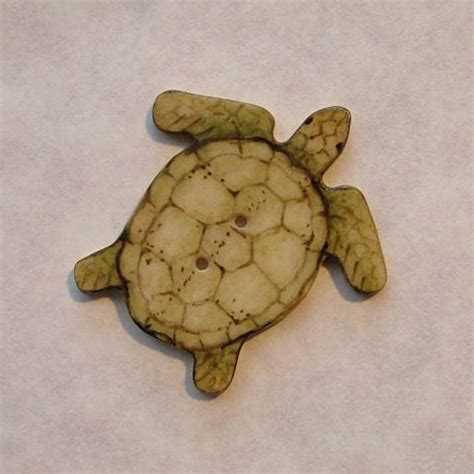 Xb Sea Turtle