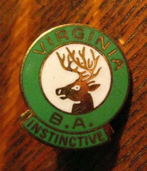 Virginia Elks Club Pin Vintage Bpoe Elks Lodge Club B A Instinctive