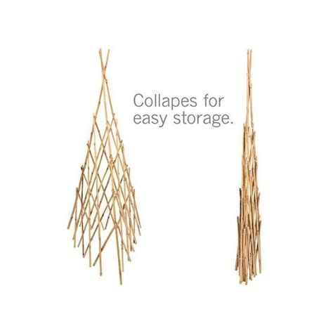 Bamboo Teepee Trellises Teepee Trellis Trellis Climbing Plants