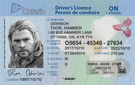 Ontario Drivers License Template Checklasopa