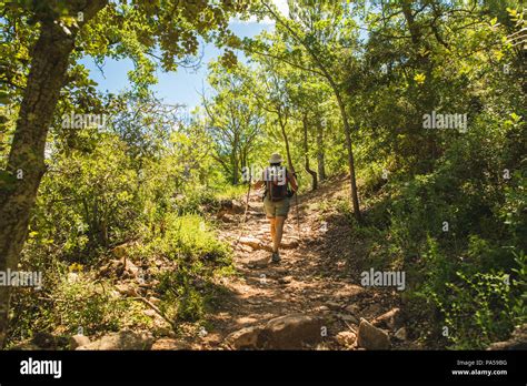Adventurer Girl Hiking In A Forest Surrounded By Beautiful Green Tropical Trees In The Middle Of