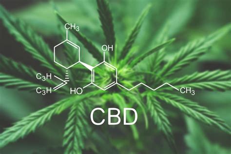 Unfortunately, it usually only used by cops for roadside testing. How Long Does CBD Stay In Your System? | Urine, Blood ...