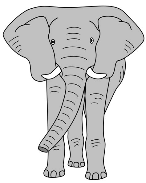 Indian Elephant Clip Art Library