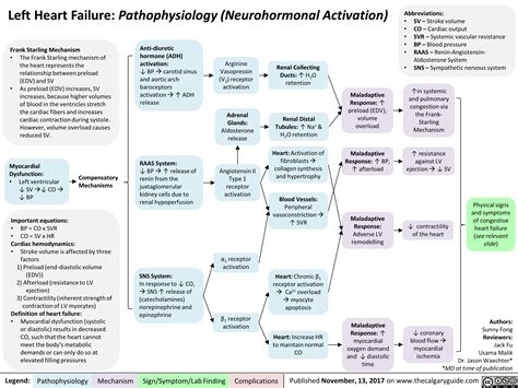 Left Heart Failure Pathophysiology Neurohormonal Activation