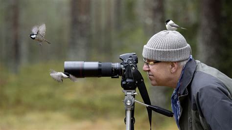 How To Bird Watch A First Timers Guide Advnture