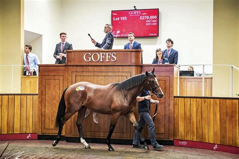 goffs uk premier yearling sale sparkling trade produces records galore 01 september 2017 premium