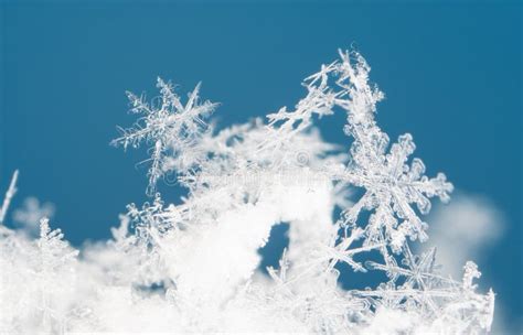 Natural Snowflakes On Snow Snow Stock Image Image Of Christmas