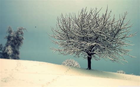Vintage Winter Photography Wallpapers Top Free Vintage Winter