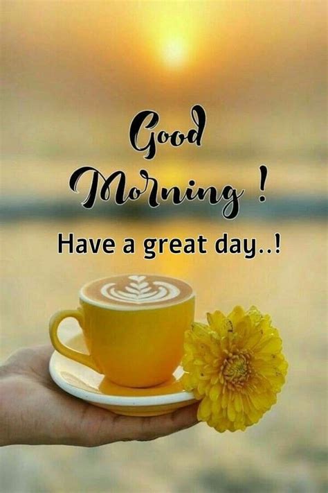 a cup of coffee with a yellow flower in it and the words good morning have a great day