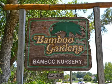 Find store information, opening times, services and more. Bamboo Gardens Still Thriving After 20 Years | Palm Harbor ...
