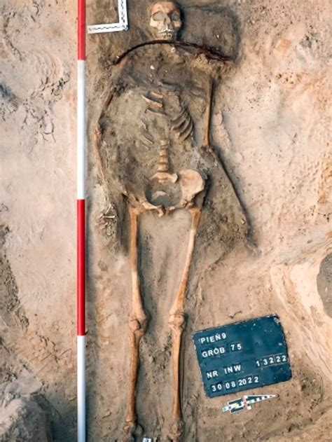 Grave Of A Female Vampire From The 17th Century Discovered In Poland