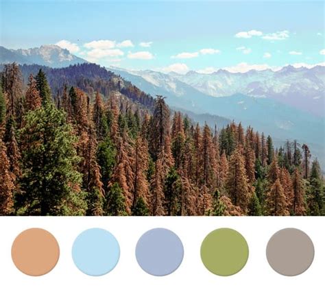 Unexpected Fall Pastel Color Palettes Inspired By Nature Pastel