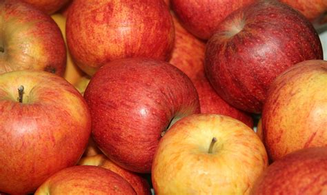 Beneficios De Comer Manzanas Todos Los D As I Saludyamistad Com