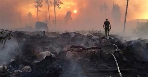 Spalony Las W Szwecji W Tle Płonie Dalsza Część Lasu