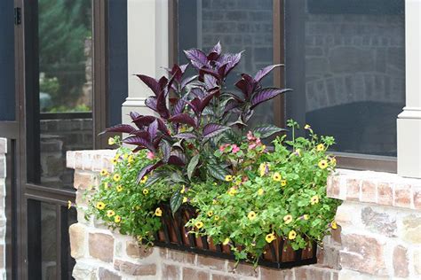 Mounting brackets included which allow you to mount. Shop copper window boxes (With images) | Window box ...