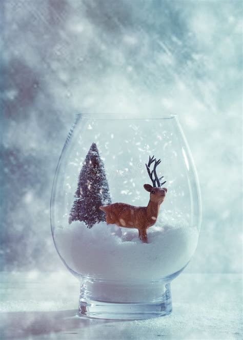 Reindeer In Glass Snow Globe Stock Image Image Of Snow Christmas